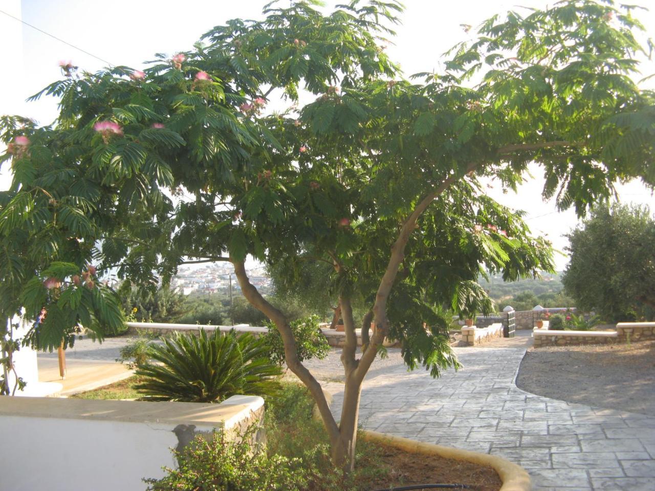 Studios Maniati Elafonissos Bagian luar foto